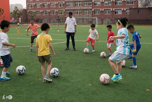 从巅峰到退赛：阿尼西莫娃因伤结束2026年